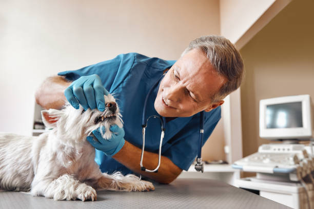 Best Emergency Dental Extractions in Hawthorne, NY